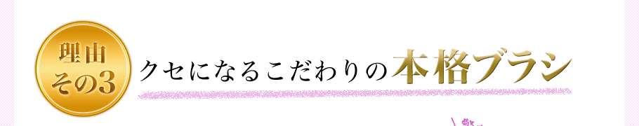理由その3　クセになるこだわりの本格ブラシ